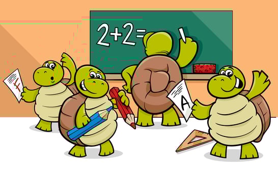 turtles doing math